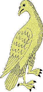 [Image of a bird.]